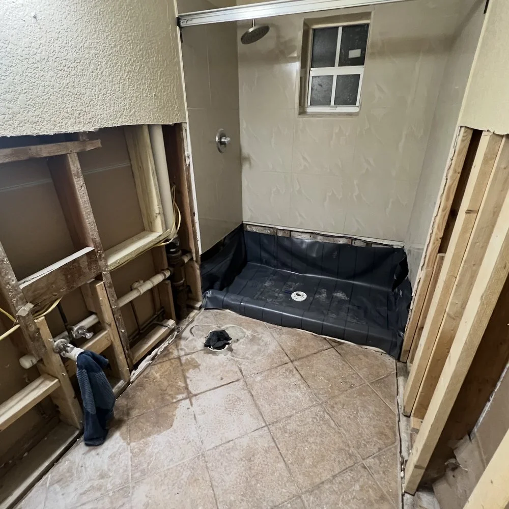 mold remediation