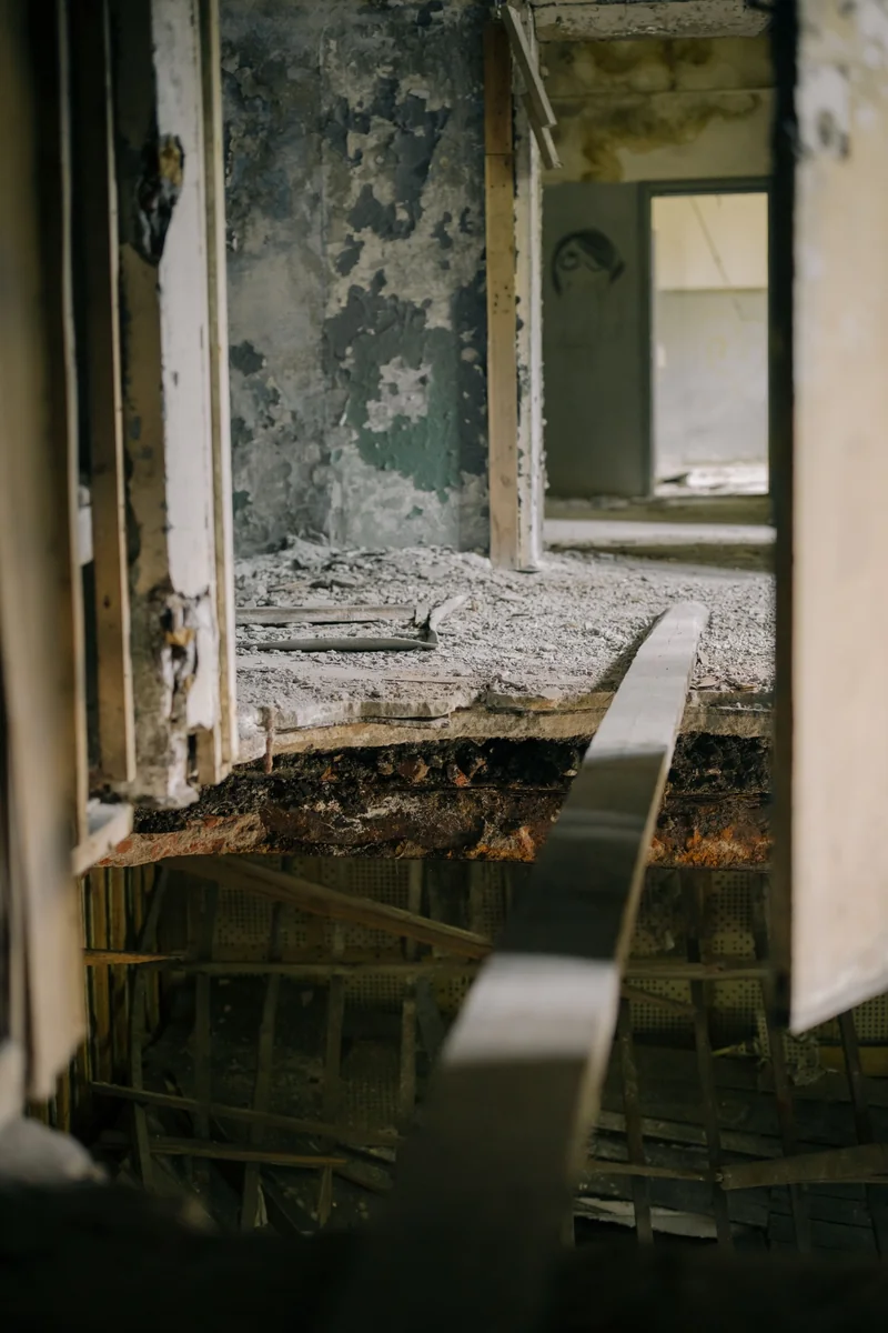 Areas Where Crawl Space Mold Develops